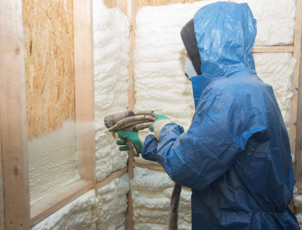 Best Crawl Space Insulation  in USA